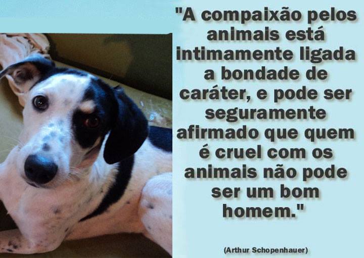 3º CONTATO CÂMBIO FINAL! DIA 11 10 24 CONEXÃO BRASIL COM LU ROCHA DE VILATUR SAQUAREMA